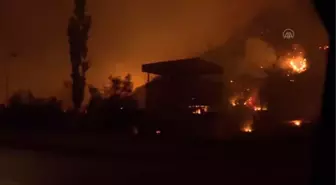 Kemerköy Termik Santrali'nin bahçesine ulaşan yangının ana binaya sıçramaması için uğraş veriliyor (2)