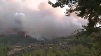 Son dakika... Milas'ta yangının tehdit ettiği 2 mahalledeki vatandaşlar tahliye edildi