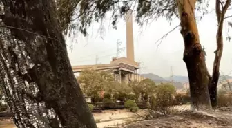 Son Dakika! Bakan Dönmez'den termik santraldeki yangınla ilgili açıklama: Santrali ve sağlığı tehdit eden bir durum yok