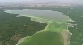 AFYONKARAHİSAR - Göçmen kuşların durağı Eber Gölü kuraklık nedeniyle zor günler geçiriyor