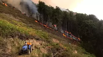 Aydın'daki yangınlardan biri kontrol altına alındı