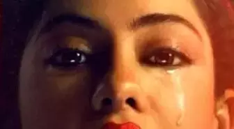 Brand New Cherry Flavor Filmi