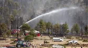 Burdur Tefenni'de orman yangını (2)