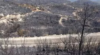 Son dakika haberi... Antalya'daki yangınlarda soğutma çalışmaları sürüyor