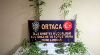 Ortaca'da uyuşturucu operasyonu