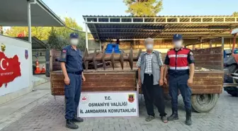 Osmaniye'de bağ ve bahçeden hırsızlık yapan zanlı yakalandı