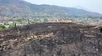 Samandağ'da otluk alanda çıkan yangın kontrol altına alındı