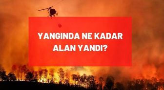 Yangında ne kadar alan yandı? Yangında kaç hektar alan yandı?