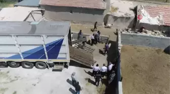 Aksaray'dan yangın bölgesine canlı hayvan desteği