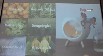 Balıkesir'de 'Z Kuşağı' aromatik bitkileri tanıdı, parfüm yaptı