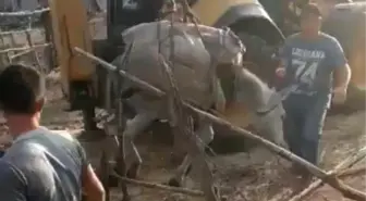 Son dakika haberi! Bingöl'de kuyuya düşen eşek itfaiye ekiplerince kurtarıldı