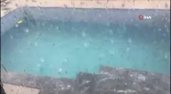Erzincan'da dolu yağışı sebze ve meyveyi vurdu