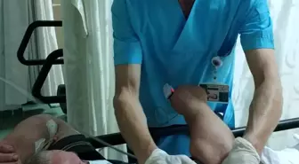 Fındık bahçesinde tüfekle vuruldu