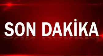 MSB açıkladı: Bir orman personelinin üzerine yanan ağaç düştü