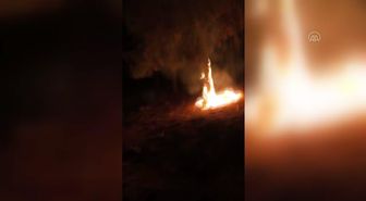 ŞANLIURFA - Suriyeli gencin dikkati ağaçlık alanın yanmasını önledi