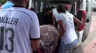 Telef olan 90 kiloluk dev kaplumbağa biyoçeşitlilik müzelerine bağışlanmak için gömüldü