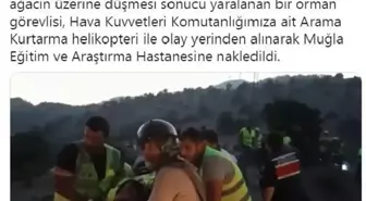 ÜZERİNE YANAN AĞAÇ DÜŞEN ORMAN GÖREVLİSİ, HAVA KUVVETLERİ'NE AİT HELİKOPTERLE HASTANEYE KALDIRILDI