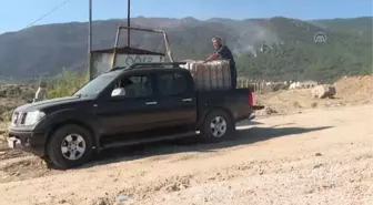 Son dakika: Vatandaşlar orman yangınına müdahale eden helikopterlerin su aldığı gölete su taşıyor