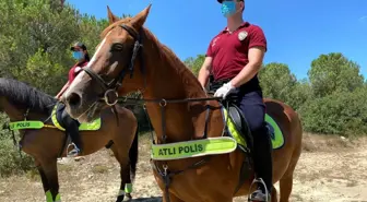 Atlı polisler Çavuşbaşı Ormanı'nda denetim yaptı