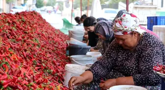 Kadınların 'en acı' mesaisi