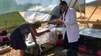 Son dakika haber | Patibüs yangın bölgelerinde