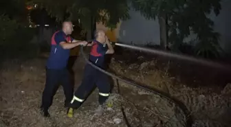 Adıyaman'da yıldırım yangına neden oldu