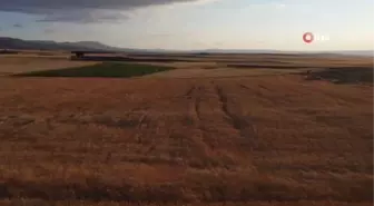 Evinde ürettiği bakteri ile tarımsal üretimini ikiye katladı