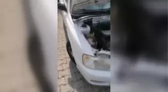 Otomobilin motor kısmında sıkışan kediyi itfaiye kurtardı