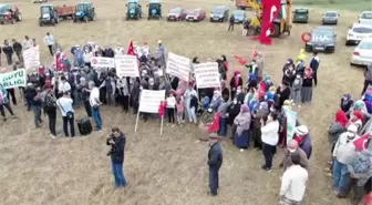 Sivas'ta çiftçiler traktörlerini Kaz gölünü korumak için sürdü