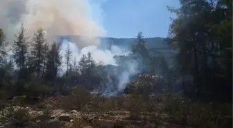 Son dakika! Bucak'ta orman yangını (2)