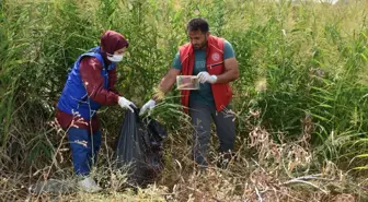 Gönüllü gençler Hazar Gölü kıyısında çevre temizliği yaptı