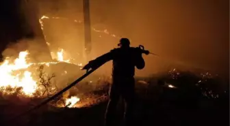 Kaş'ta aynı bölgede üç günde üçüncü yangın