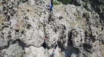 Kurttan kaçarken uçurumda mahsur kalan keçileri AFAD kurtardı