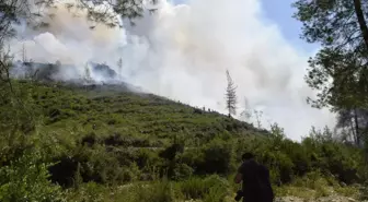 Son dakika haber... Milletvekili Uğur: 'Yangın sönmezse gece görüşlü helikopter kullanılacak'