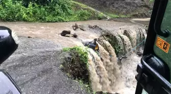 Ordu'da 255 noktada heyelan meydana geldi