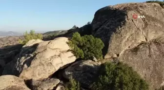 Türkiye'nin en yaşlı kayaları yangından kurtuldu