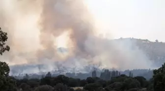 Uşak'ta çıkan yangın kontrol altına alındı