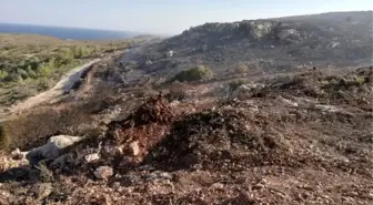 Çeşme'de, eski çöplükte yeniden çıkan yangının ardından sıkı önlemler planlandı