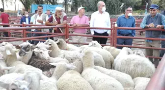 Emirgazi'den Manavgat'taki hayvan yetiştiricilerine anlamlı yardım