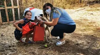 EVLERİ YANAN MERVE'NİN DOĞUM GÜNÜNDEKİ DİLEĞİ YERİNE GELDİ