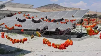 Kilis'te kurulan güneş enerjili sebze kurutma tesisi kadınlara istihdam kapısı oldu