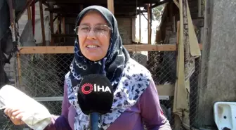 Son dakika haberleri: Manavgat'ta canı pahasına yangından küçükbaş hayvanlarını kurtardı: 'Keçilerim yansa, vicdan azabından yaşayamazdım'