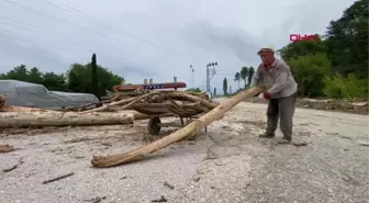 Son dakika haberleri | SELİN TAŞIDIĞI ODUNLAR, YAKACAK OLDU