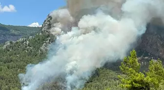 Alanya'da biri orman 2 ayrı yerde çıkan yangın söndürüldü