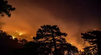 Son dakika haber... İspanya yangın riski altında