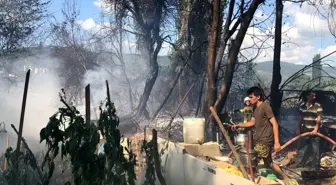 Son dakika haber! Tatil beldesinde korkutan yangın