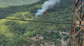 Son dakika haber... Antalya'daki orman yangını kontrol altına alındı