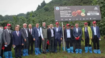 TMO Genel Müdürü Ahmet Güldal Trabzon'da fındık hasat şenliğine katıldı Açıklaması