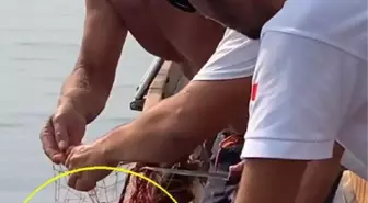 'AKSONA MEHMET', HAYALET AĞA TAKILAN ORFOZU KURTARDI