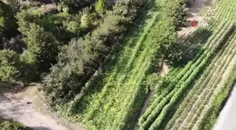 Çiftliğinde yetiştirdiği doğal ürünleri tüketiciyle buluşturuyor